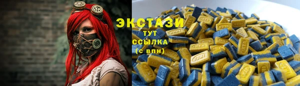 тгк Каменка