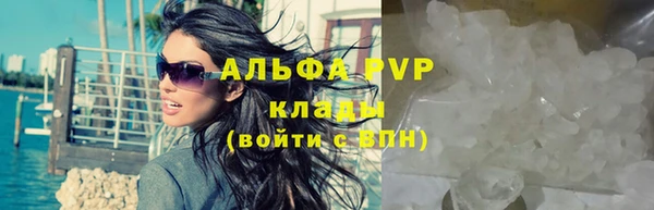 дмт Каменногорск
