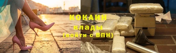 тгк Каменка