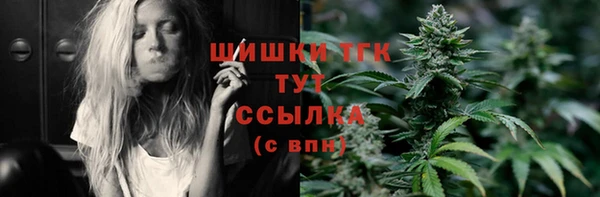 тгк Каменка