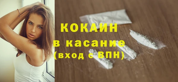 тгк Каменка