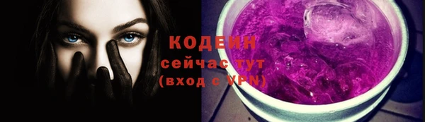 тгк Каменка