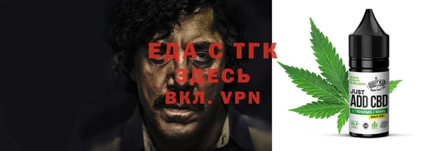 тгк Каменка