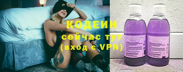 дмт Каменногорск