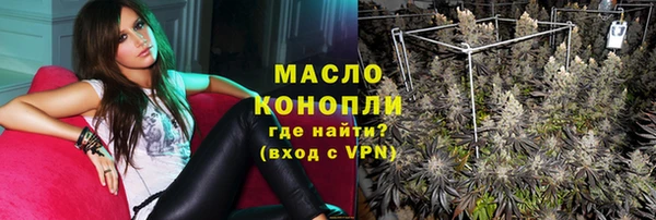 дмт Каменногорск