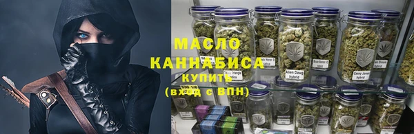 тгк Каменка