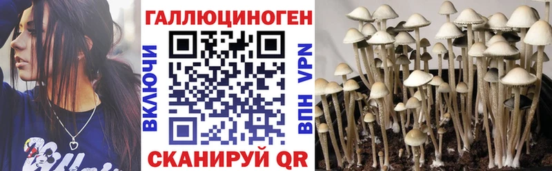 Купить закладки  Дзержинский  Галлюциногенные грибы мицелий 