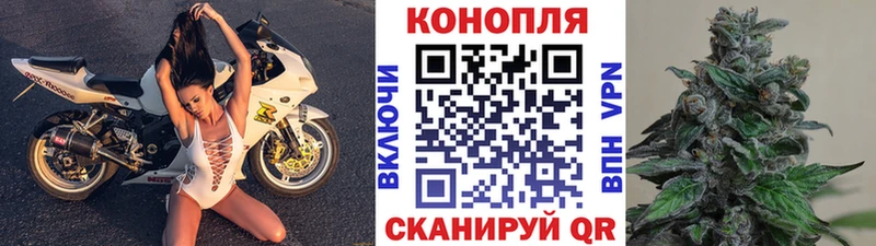 Бошки марихуана THC 21%  Купить  Дзержинский 